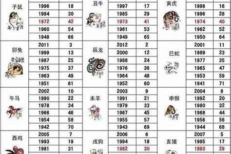 1966 年属什么 窗簾破洞